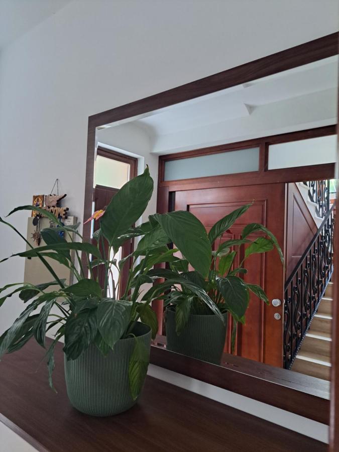 Apartment Benvenuti โกตอร์ ภายนอก รูปภาพ
