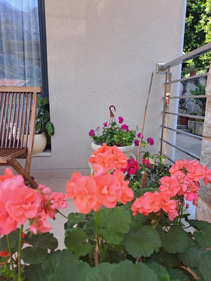 Apartment Benvenuti โกตอร์ ภายนอก รูปภาพ